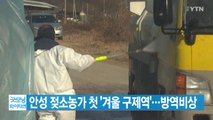 [YTN 실시간뉴스] 안성 젖소농가 첫 '겨울 구제역'...방역비상 / YTN