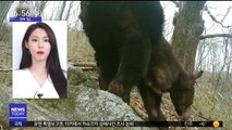 [투데이 연예톡톡] AOA 설현, '곰' 후원…