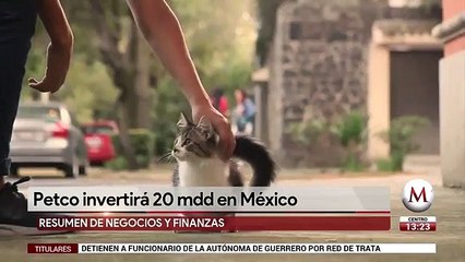 Invertira Petco 20 mdd en 2019