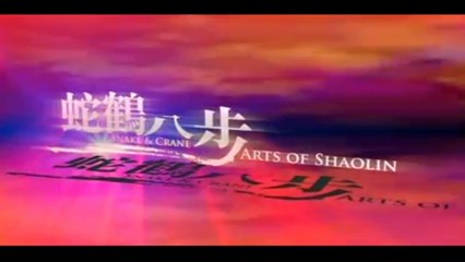SNAKE AND CRANE ARTS OF SHAOLIN (1978) Trailer - CHINA