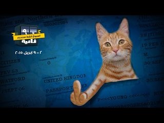 أسبوع القط سندباد - 90 ثانية