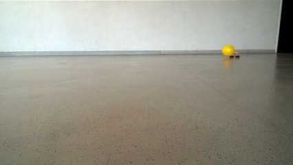 Création d'une chronophotographie