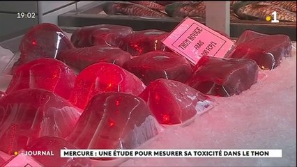 Mercure, un médecin alerte sur les dangers liés aux poissons du large