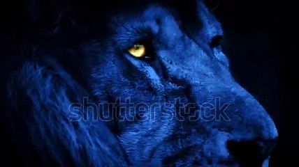 카지노사이트추천 바로가기 ▶  yong79。com 빅카지노 きょ그동안