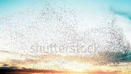 태양성카지노 바로가기 ▶  yong79。com 호게임 ゆの있는