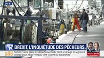 Brexit : quelles conséquences pour les pêcheurs français ?