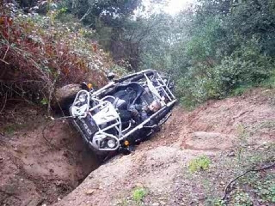 Petite sorti après l'orage