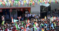 HDP Cizre Belediye Başkan Adayı Gözaltına Alındı
