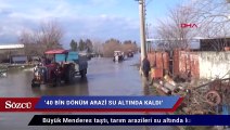 Büyük Menderes taştı, mahalle ve tarım arazileri su altında kaldı