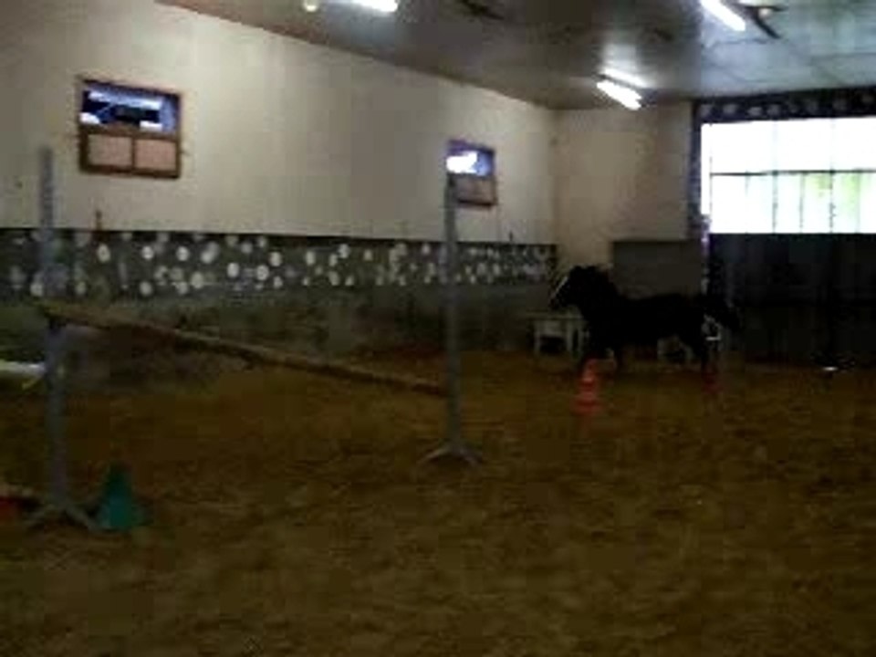 priscillia 05 01 08
