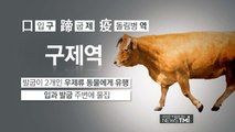 [뉴스TMI] 민족 대이동 앞두고 비상 걸린 구제역 확진, 구제역이란? / YTN