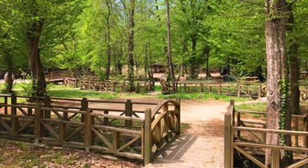 Belgrad Ormanı Milli Park mı oluyor