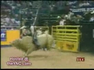 Bullriding