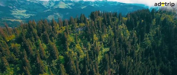 Travel to Snowy Mountains