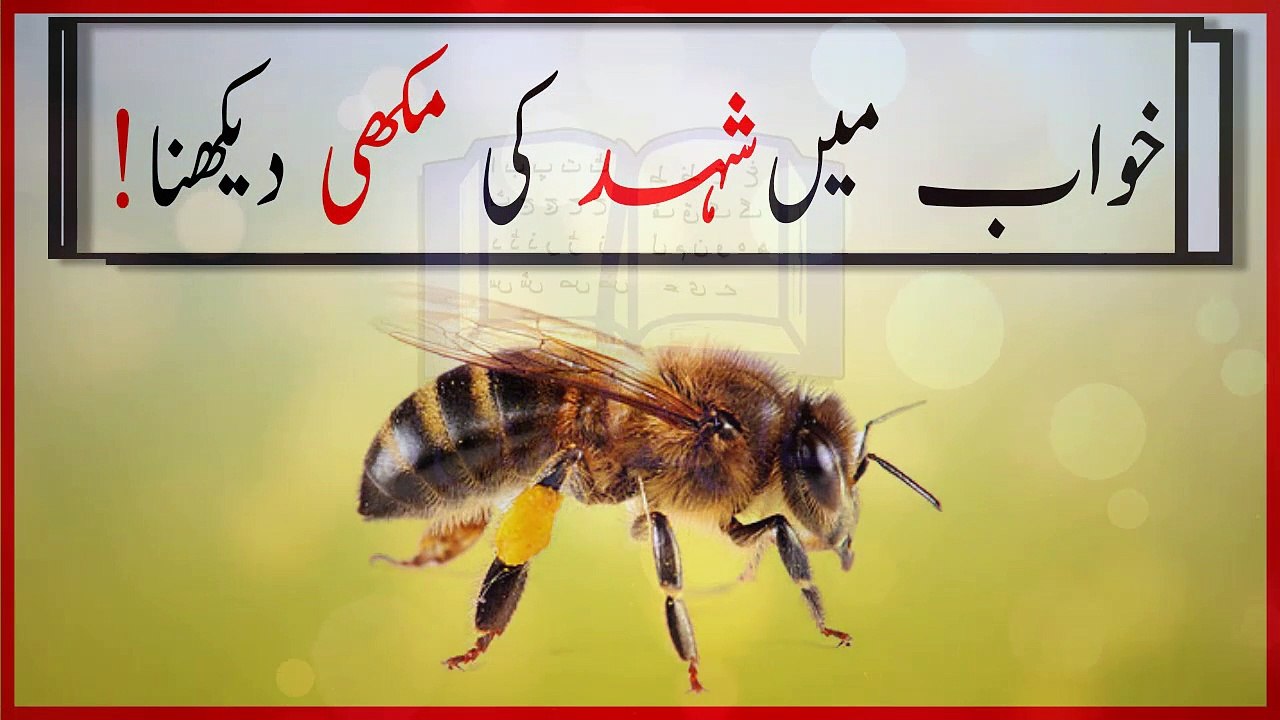 khwabon ki tabeer in urdu - khwab mein shehad ki makhi dekhne ki tabeer