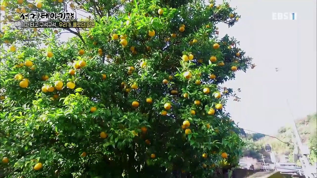 세계테마기행 - 기차타고 구석구석, 우리가 몰랐던 일본 1부- 규슈 시골여행_#003