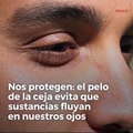 ¿Para qué sirve el pelo de las cejas