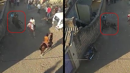 शादी में नाच रही घोड़ी उछली तो मिनटों में ही हो गई मौत, बाल-बाल बचा मालिक, वायरल हुआ वीडियो