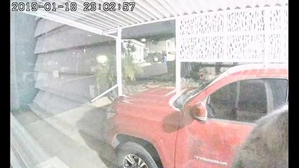 Un chat découvre une caméra de sécurité