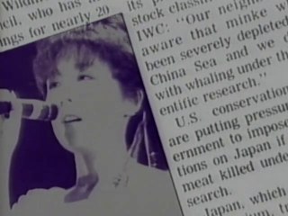 BARBEE BOYS - チャンス到来