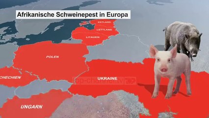 Danimarka nis punën: Mur në kufi me Gjermaninë - Top Channel Albania - News - Lajme