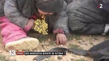 Syrie : des jihadistes français bientôt rapatriés par le gouvernement ?