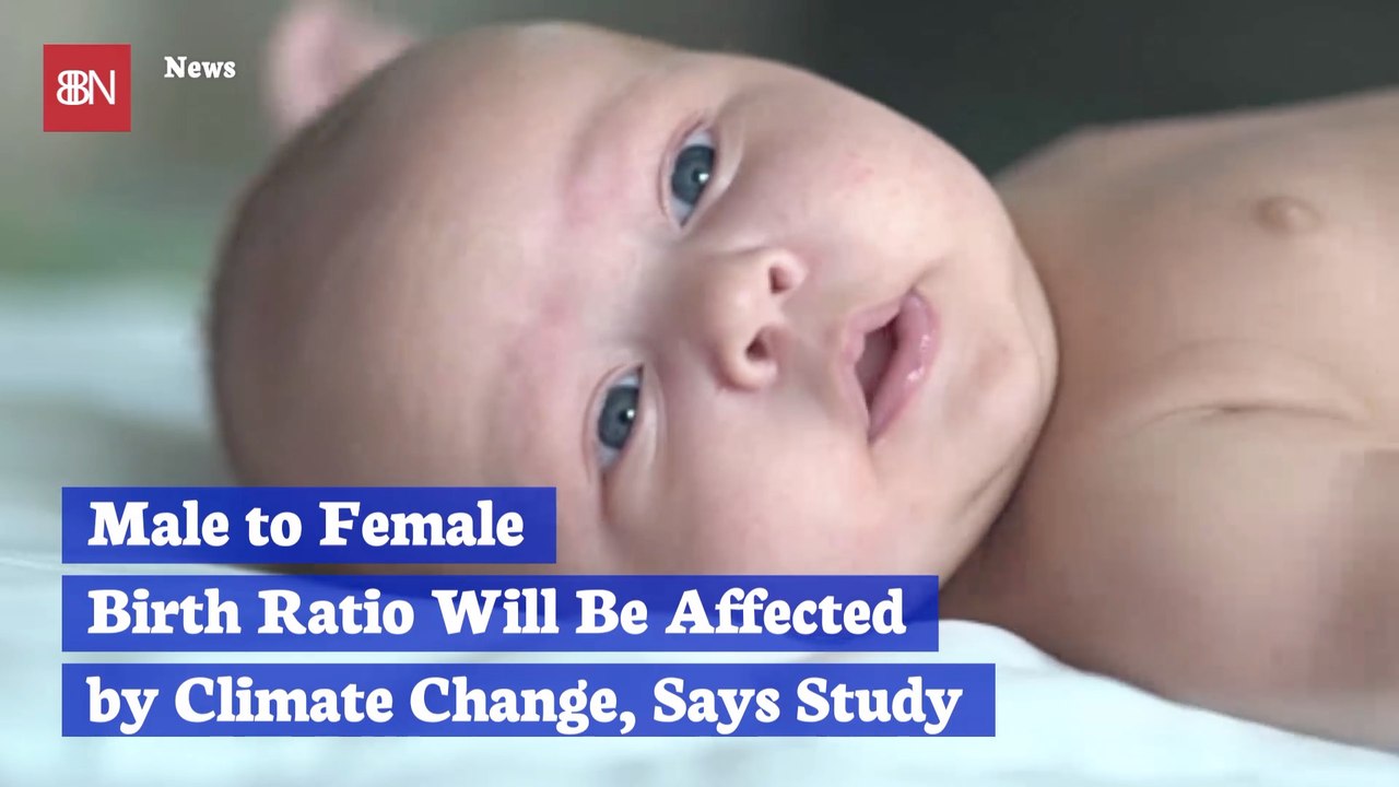 How Will Birth Ratios Be Affected By Climate Change