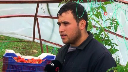 Kumluca'daki Hortumun Yıktığı Seralar Havadan Görüntülendi