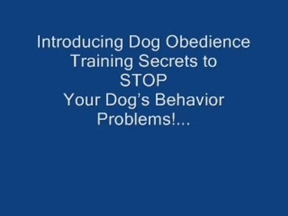 Dog Training