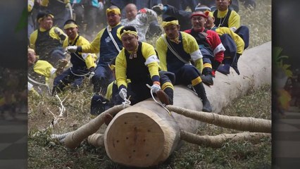 Onbashira Festival 2019 - Japan Log Ride