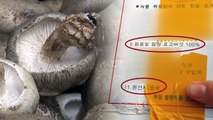 중국산 표고버섯이 국산 둔갑...대형 마트 속아 / YTN