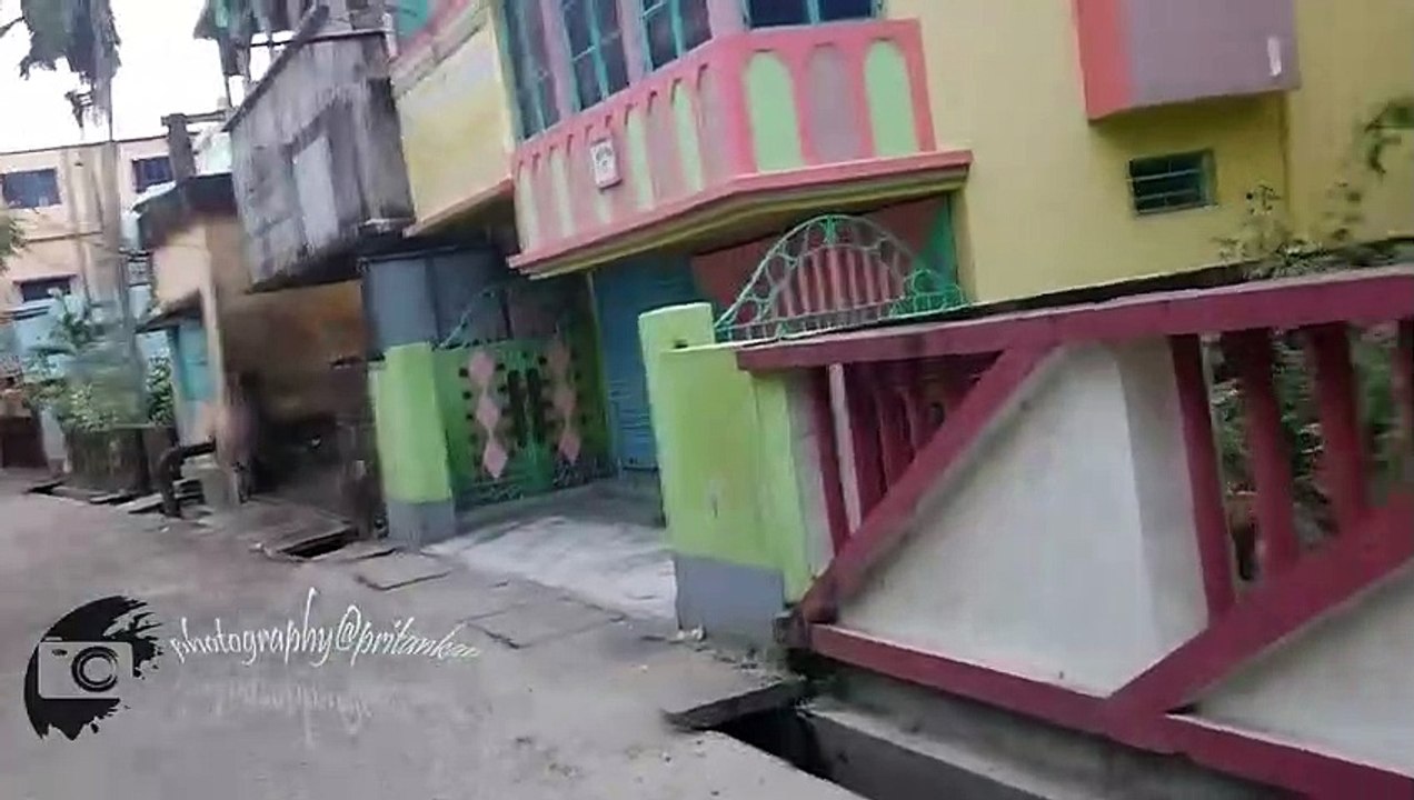 Indian dogs hanging out............it feels like the movie Isle of dogs!