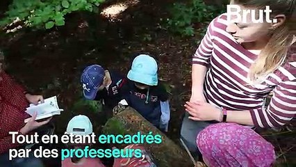 Au Danemark, les enfants étudient en pleine nature
