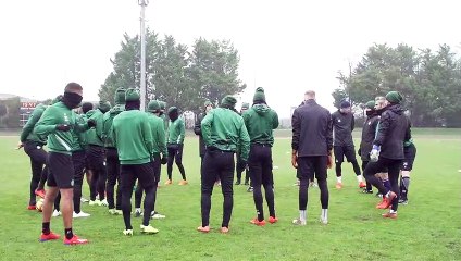 Stage : dans les pas des Verts à Carquefou