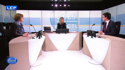 Djihadistes français détenus en Irak et en Syrie : Pierre-Henri Dumont (LR) estime qu'il faut les "tuer"