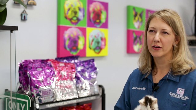 Welcome to Tanglewilde Veterinary Clinic