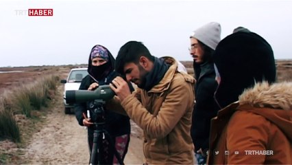 Edirne'deki Gala Gölü ekoturizm merkezi olmaya aday