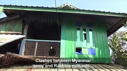 Civilians caught up in fighting in Myanmar's Rakhine