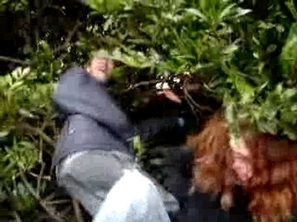 remy qui pousse chris ds les buisson!!!!!!