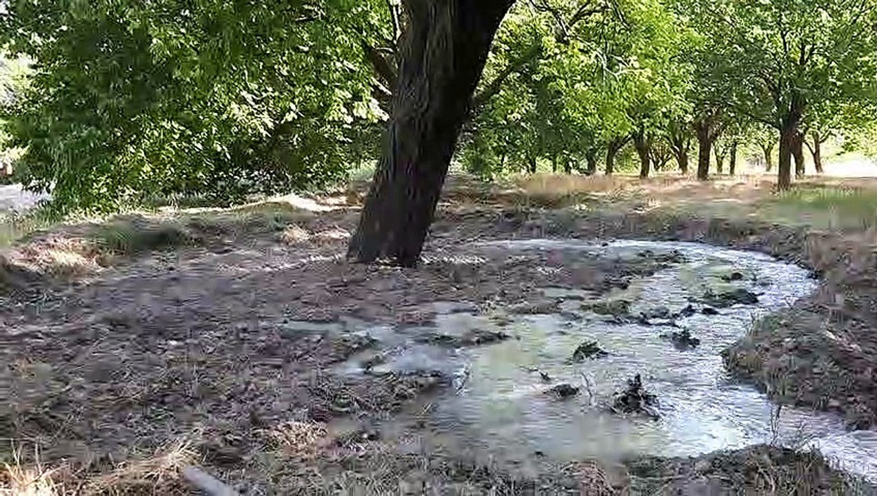 20170803_075654