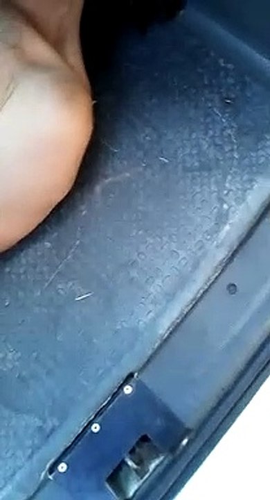 Homem é flagrado tentando fazer sexo com égua, em Birigui (SP)