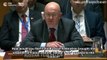 UNSC: Russia Compares the Situation in Venezuela to the 'Yellow Vests' Crisis