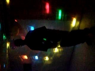 31 décembre pour le nouvel an 2008 CHEZ Thrills