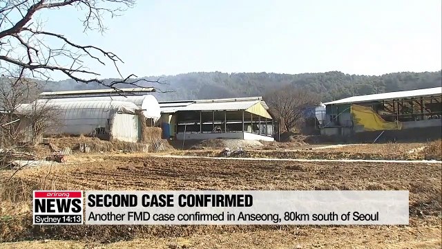 Second foot-and-mouth disease case confirmed in S. Korea
