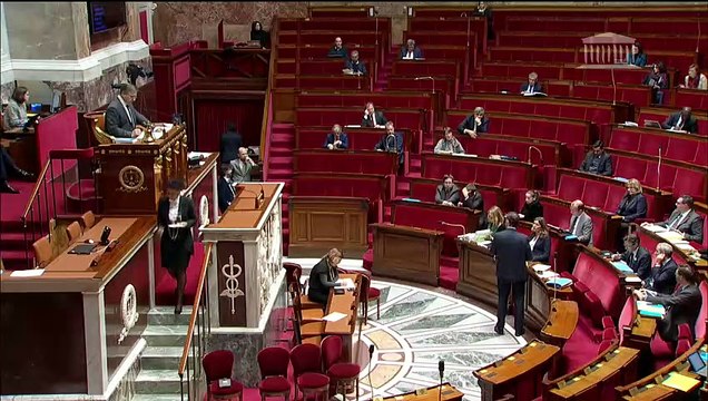 3ème séance : Prévention et sanction des violences lors des manifestations - Mardi 29 janvier 2019