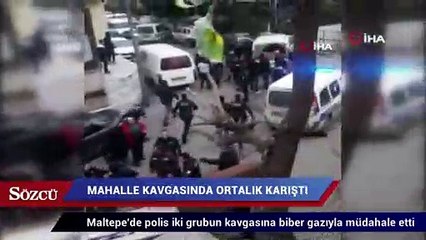 Descargar video: Mahalle kavgasında ortalık karıştı, polis biber gazıyla müdahale etti