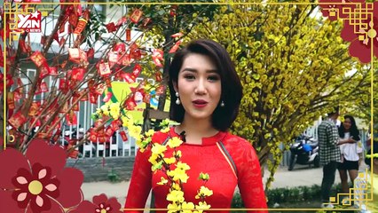 Nghệ Sĩ chúc Tết Kỷ Hợi