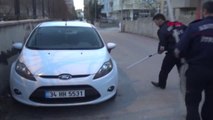 Adıyaman Otomobilin Çarptığı Kedi, Başka Bir Otomobilin Motoruna Sıkıştı