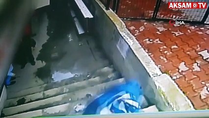 Sahibiyle lokantada yemek yiyen keçiye köpek saldırdı