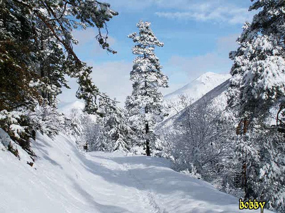 symphonie en blanc